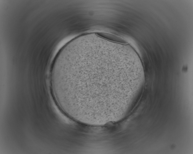 X0000094911003200712131448