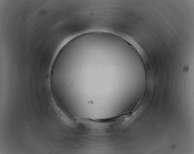 X0000094911004200712131448