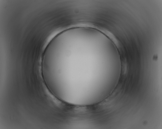 X0000094911006200712131448
