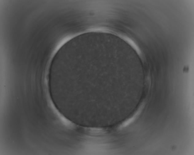 X0000094911007200712131448
