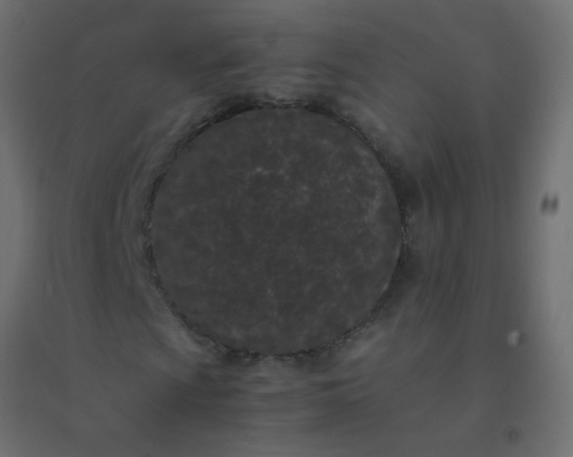 X0000094911009200712131448