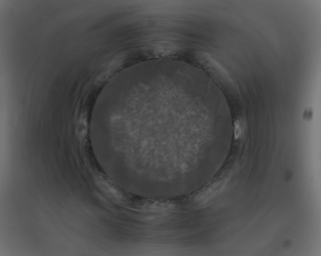 X0000094911011200712131448