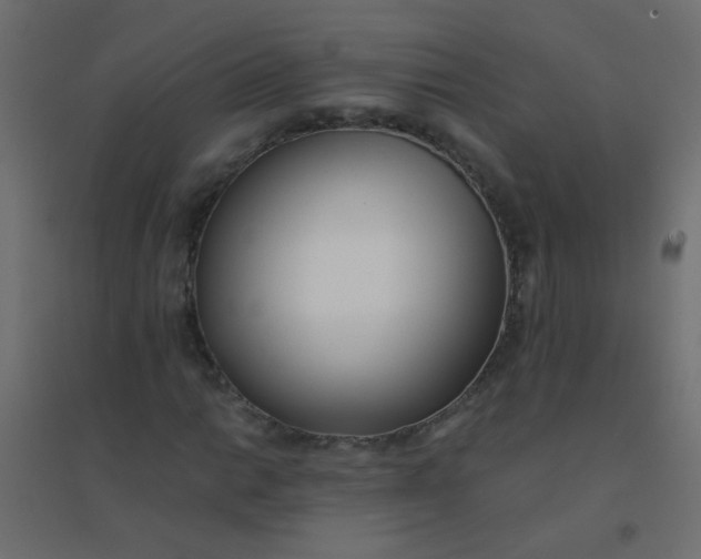 X0000094911014200712131448