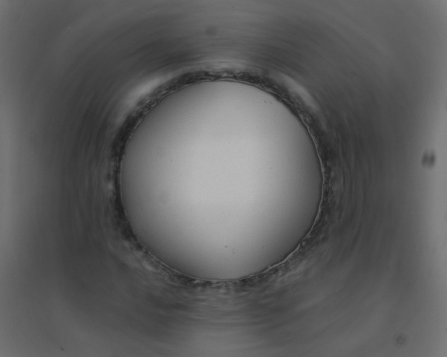 X0000094911016200712131448