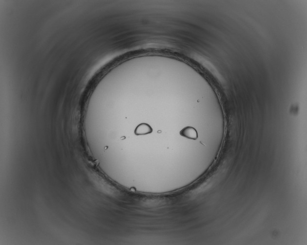 X0000094911021200712131448
