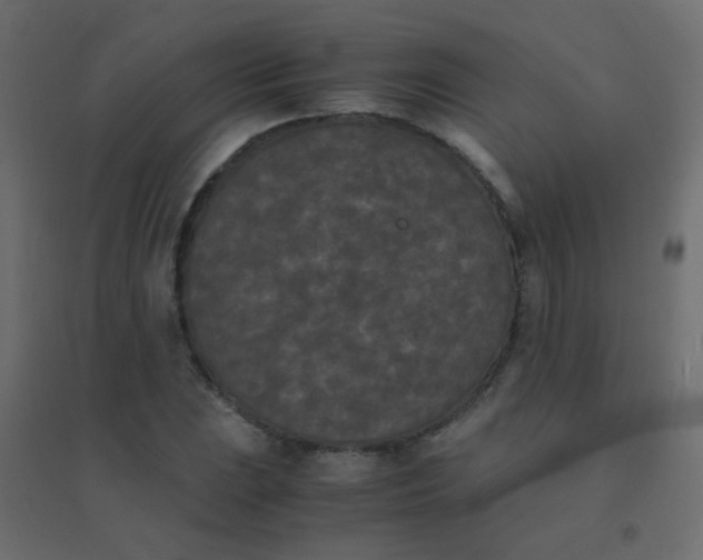 X0000094911023200712131448