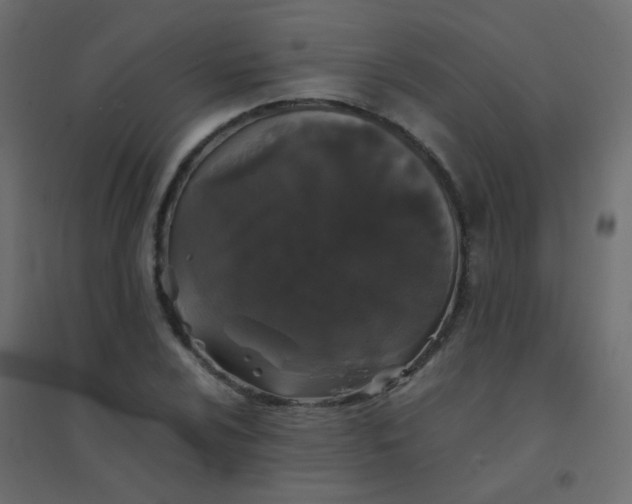 X0000094911024200712131448