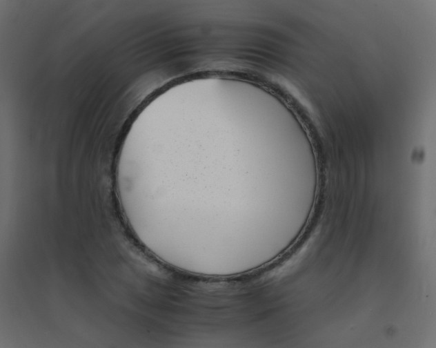X0000094911025200712131448
