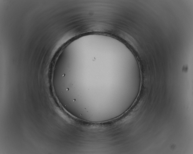 X0000094911026200712131448