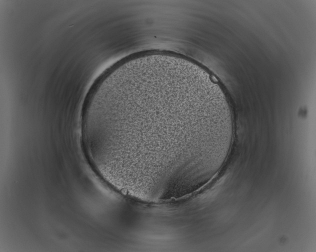 X0000094911028200712131448