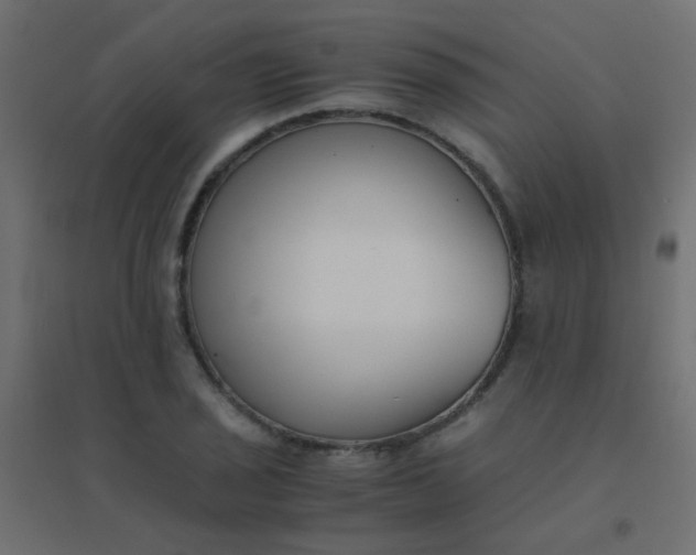 X0000094911029200712131448