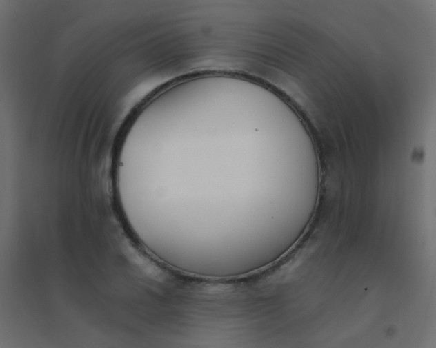 X0000094911030200712131448