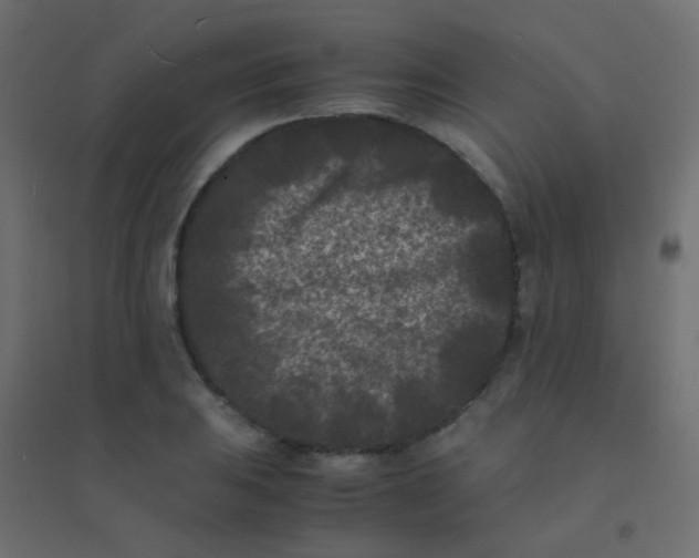 X0000094911031200712131448