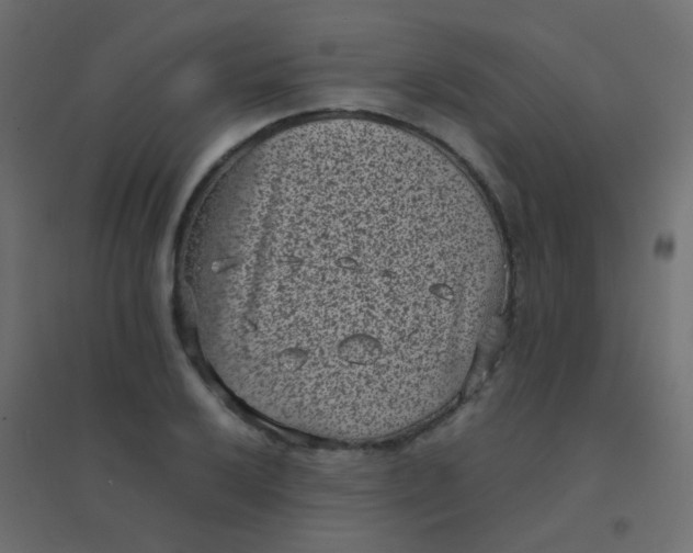 X0000094911032200712131448