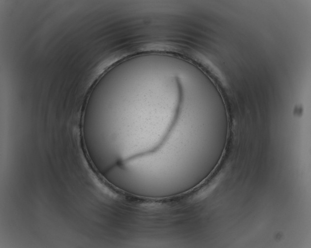 X0000094911033200712131448