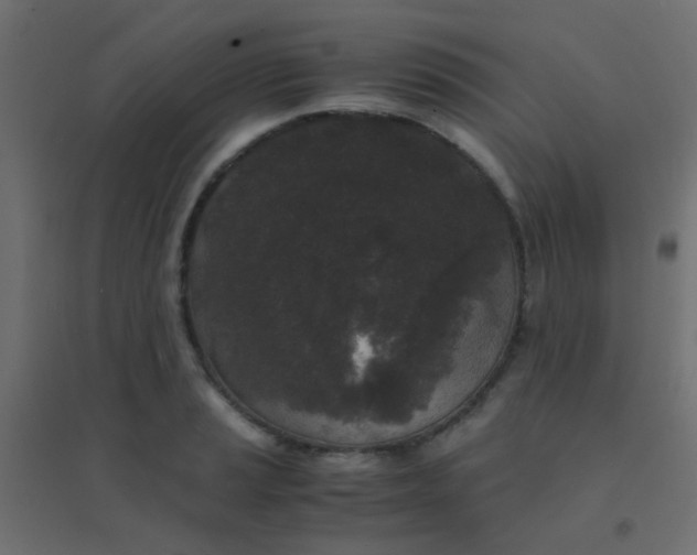 X0000094911037200712131448