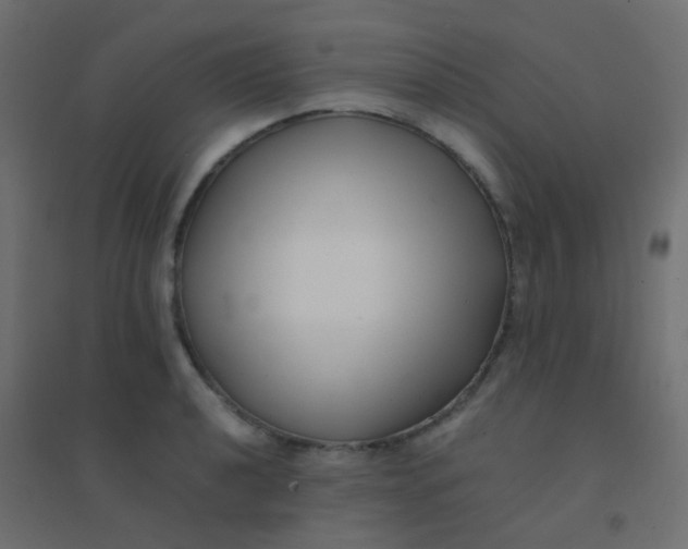 X0000094911040200712131448