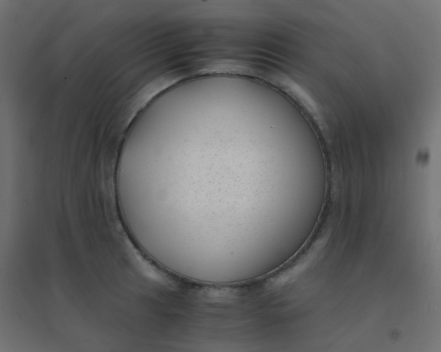 X0000094911041200712131448