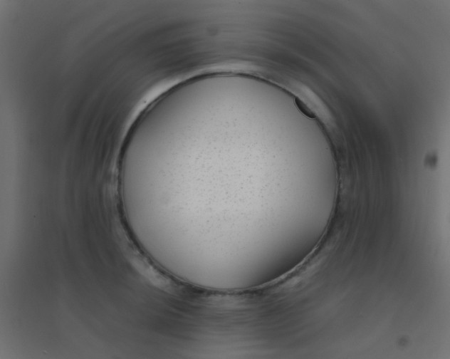 X0000094911044200712131448
