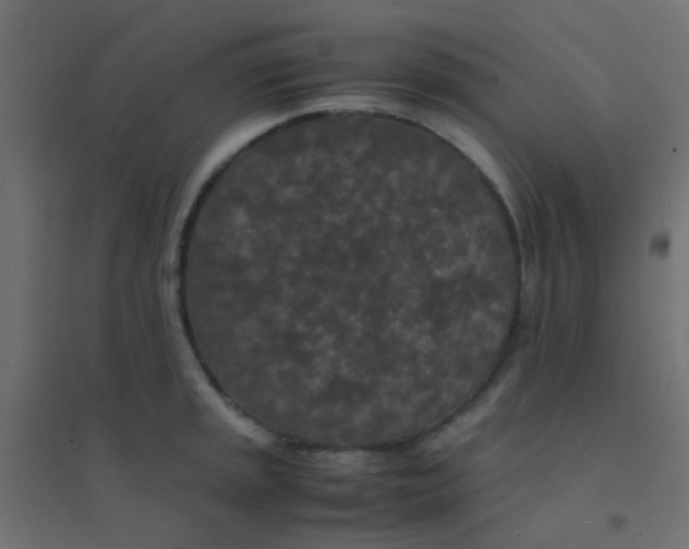 X0000094911045200712131448