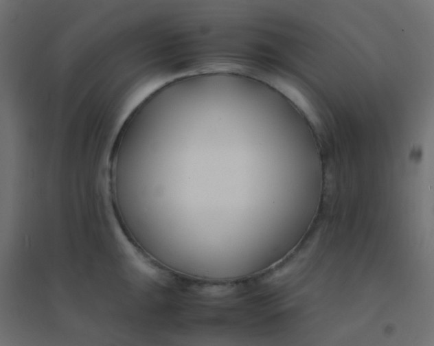 X0000094911047200712131448