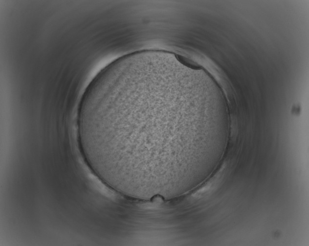X0000094911048200712131448