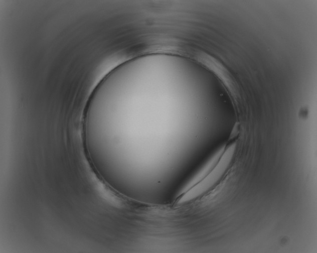 X0000094911050200712131448
