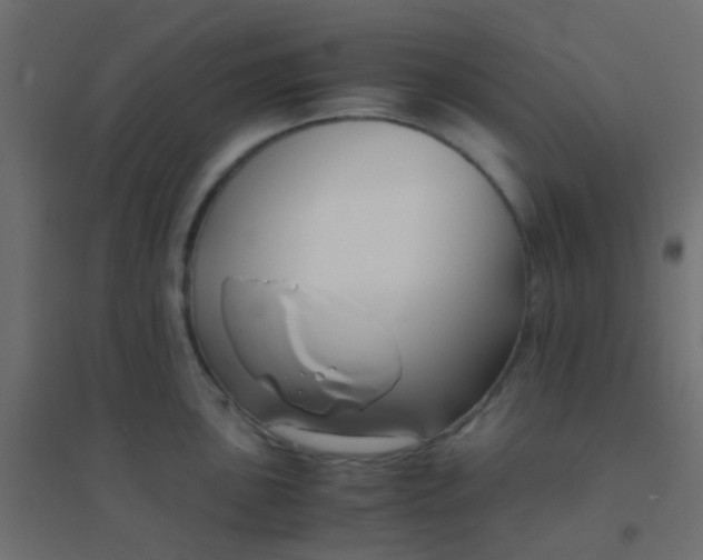X0000094911051200712131448