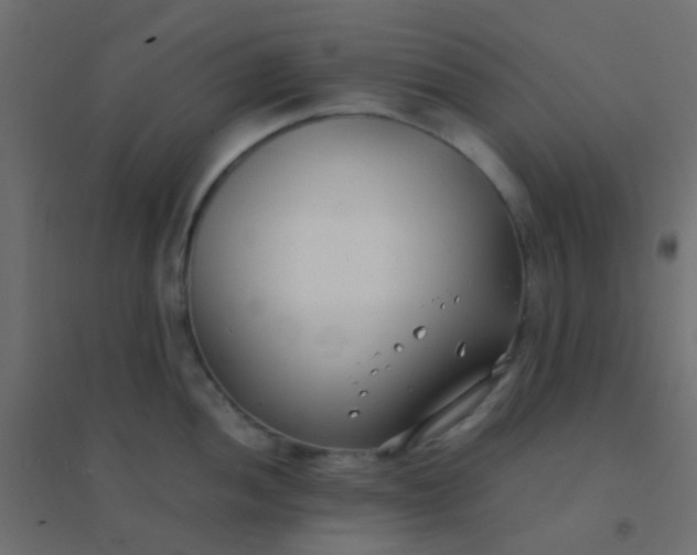 X0000094911052200712131448