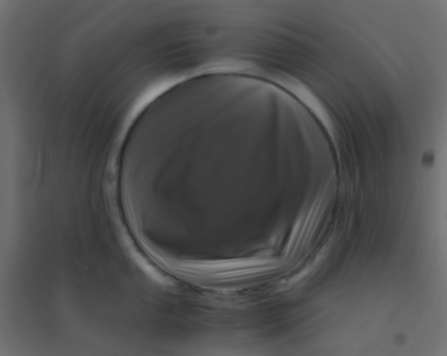 X0000094911053200712131448