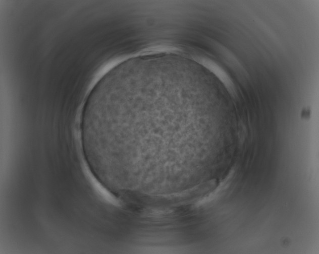 X0000094911055200712131448