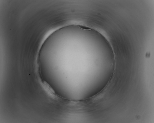 X0000094911056200712131448