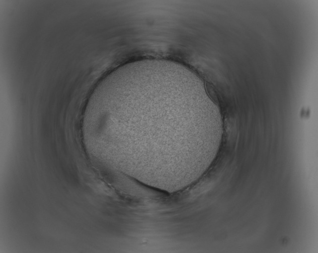X0000094911057200712131448