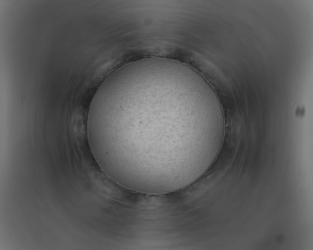 X0000094911058200712131448