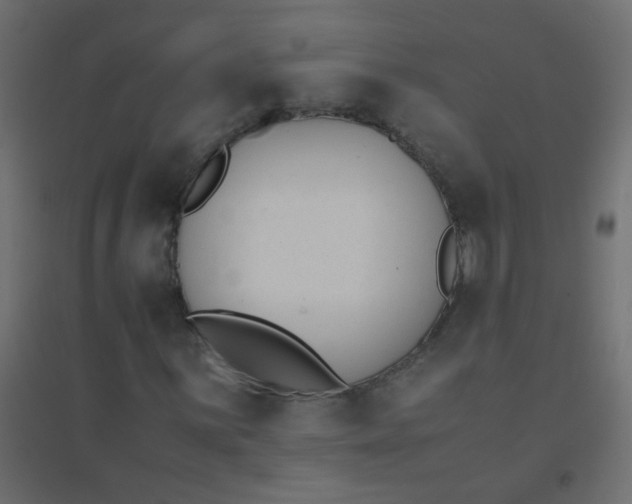 X0000094911059200712131448