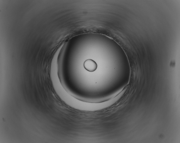 X0000094911060200712131448