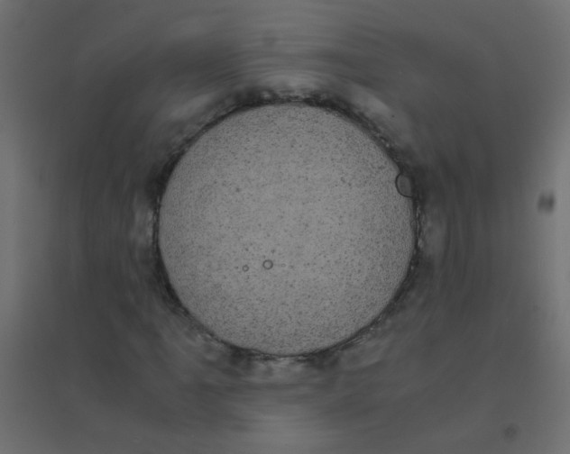 X0000094911061200712131448
