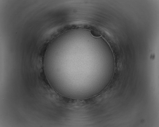 X0000094911062200712131448
