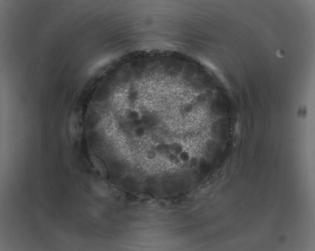 X0000094911063200712131448