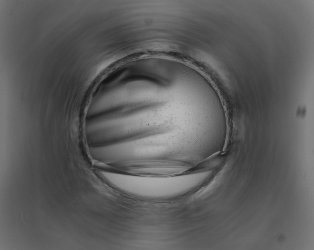 X0000094911065200712131447