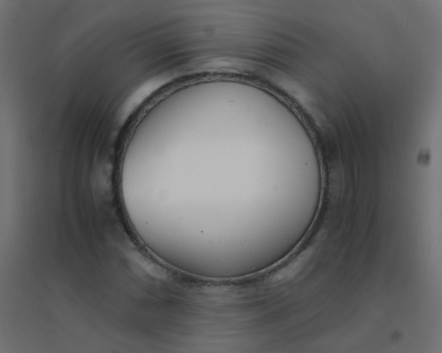 X0000094911066200712131447