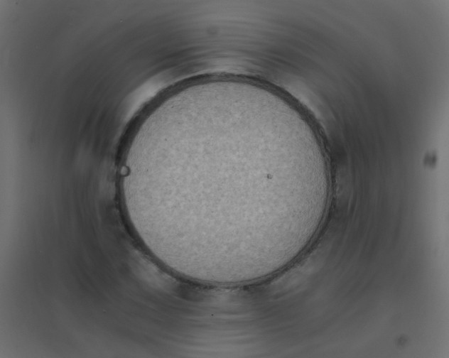 X0000094911067200712131447