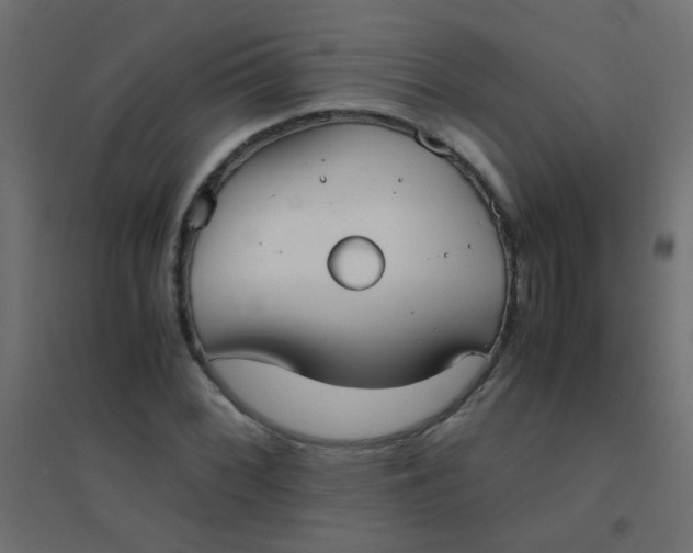 X0000094911068200712131447