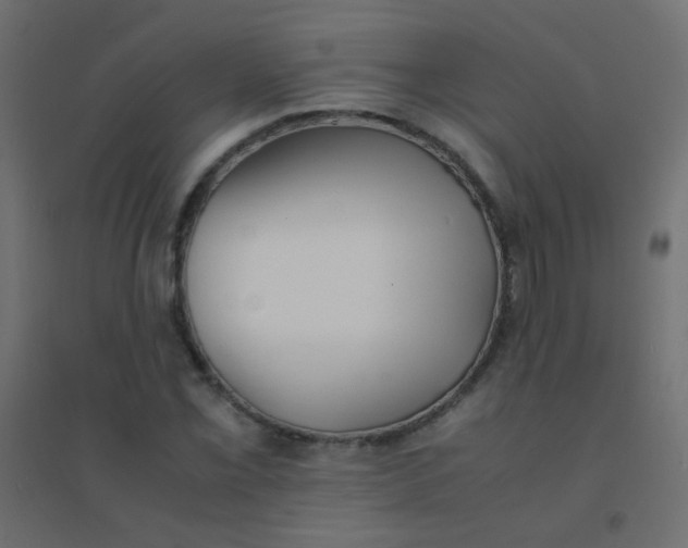 X0000094911069200712131447