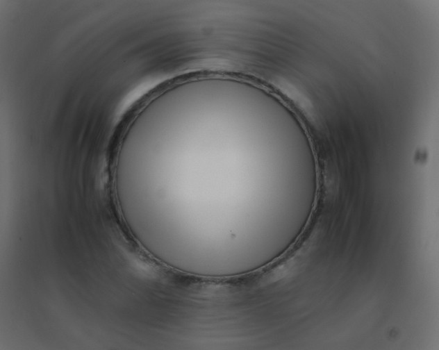 X0000094911070200712131447