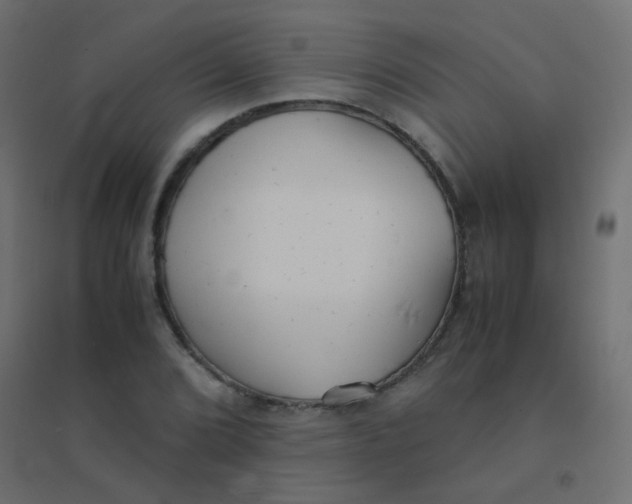 X0000094911072200712131447