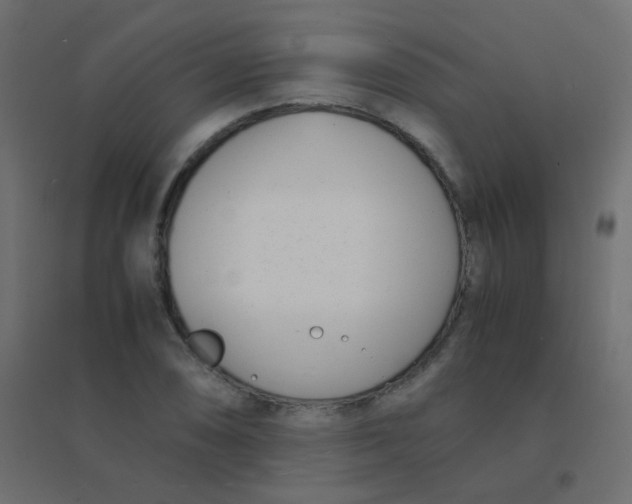 X0000094911074200712131447