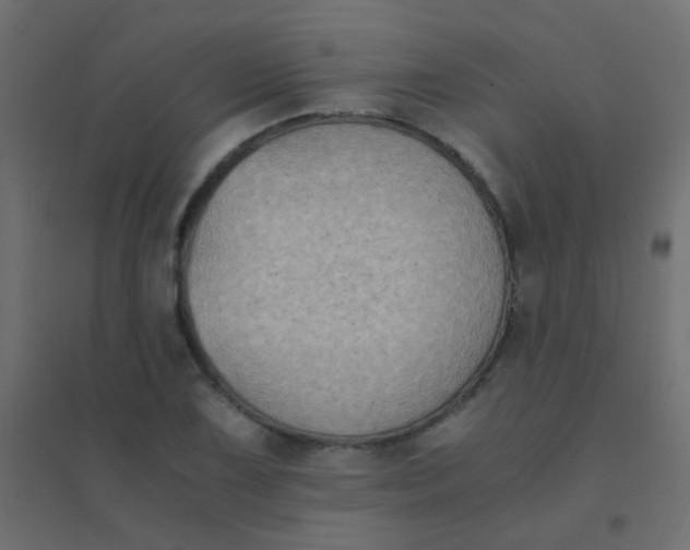 X0000094911075200712131447