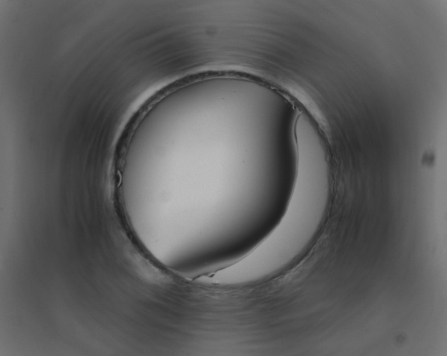 X0000094911076200712131447