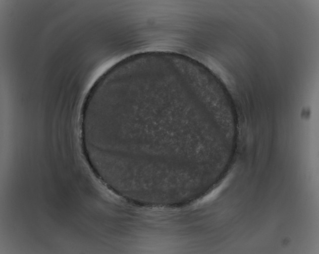 X0000094911077200712131447